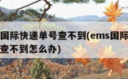 ems国际快递单号查不到(ems国际快递单号查不到怎么办)