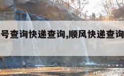 顺风单号查询快递查询,顺风快递查询单号查询追踪