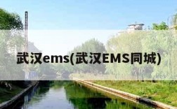 武汉ems(武汉EMS同城)