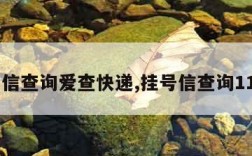 挂号信查询爱查快递,挂号信查询11185