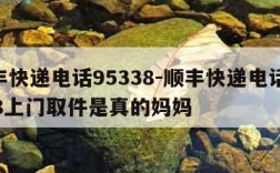 顺丰快递电话95338-顺丰快递电话95338上门取件是真的妈妈