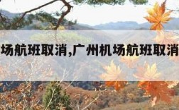 广州机场航班取消,广州机场航班取消最新消息