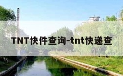 TNT快件查询-tnt快递查