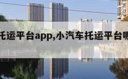 轿车托运平台app,小汽车托运平台哪个最好