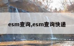 esm查询,esm查询快递