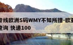 欧亚专线欧洲S码WMY不知所措-欧亚专线单号查询 快递100