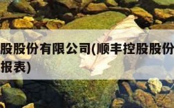 顺丰控股股份有限公司(顺丰控股股份有限公司财务报表)