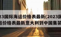 2023国际海运价格表最新(2023国际海运价格表最新意大利到中国集装箱)