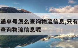 只有快递单号怎么查询物流信息,只有快递单号怎么查询物流信息呢