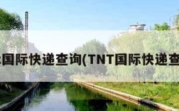 tnt国际快递查询(TNT国际快递查询)