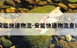 安能快递物流-安能快递物流查询