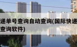 国际快递单号查询自动查询(国际快递单号查询自动查询软件)