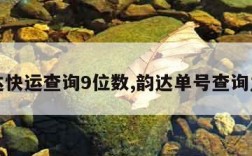 韵达快运查询9位数,韵达单号查询九位