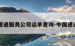 中国速递服务公司运单查询-中国速递官网