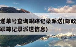 邮政快递单号查询跟踪记录派送(邮政快递单号查询跟踪记录派送信息)