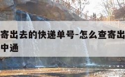 怎么查寄出去的快递单号-怎么查寄出去的快递单号中通