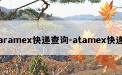 aramex快递查询-atamex快递