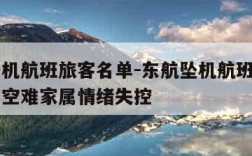 东航坠机航班旅客名单-东航坠机航班旅客名单己出空难家属情绪失控