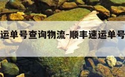 顺丰速运单号查询物流-顺丰速运单号查询物流信