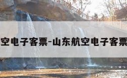 山东航空电子客票-山东航空电子客票怎么买