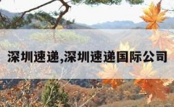 深圳速递,深圳速递国际公司