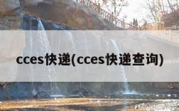 cces快递(cces快递查询)