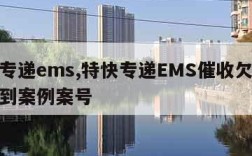 特快专递ems,特快专递EMS催收欠钱被告收到案例案号