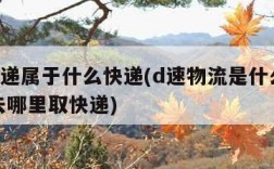 d速快递属于什么快递(d速物流是什么快递我得去哪里取快递)