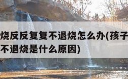 孩子发烧反反复复不退烧怎么办(孩子发烧反反复复不退烧是什么原因)