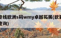 欧亚专线欧洲s码wmy卓越拓展(欧亚专线单号查询)