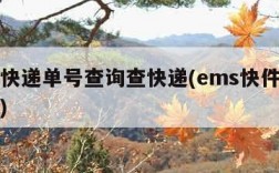 ems快递单号查询查快递(ems快件单号查询)