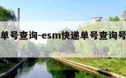 esm单号查询-esm快递单号查询号码查询