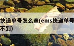 ems快递单号怎么查(ems快递单号怎么查询不到)