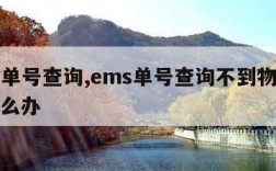 ems单号查询,ems单号查询不到物流信息怎么办