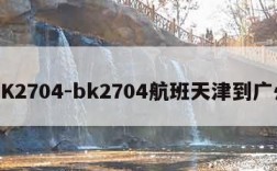 BK2704-bk2704航班天津到广州