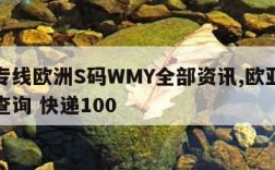 欧亚专线欧洲S码WMY全部资讯,欧亚专线单号查询 快递100