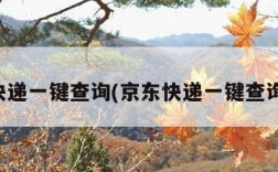 京东快递一键查询(京东快递一键查询官网)