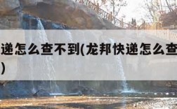 龙邦快递怎么查不到(龙邦快递怎么查不到物流信息)