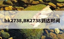 bk2738,BK2738到达时间