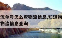 知道物流单号怎么查物流信息,知道物流单号怎么查物流信息查询