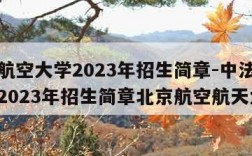 中法航空大学2023年招生简章-中法航空大学2023年招生简章北京航空航天大学