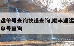 顺丰速运单号查询快递查询,顺丰速运单号查询快递单号查询