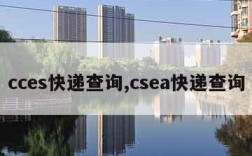 cces快递查询,csea快递查询