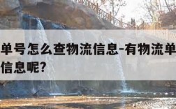 有物流单号怎么查物流信息-有物流单号怎么查物流信息呢?