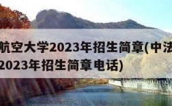 中法航空大学2023年招生简章(中法航空大学2023年招生简章电话)