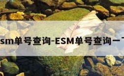 esm单号查询-ESM单号查询一下