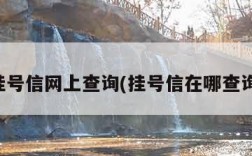 挂号信网上查询(挂号信在哪查询)