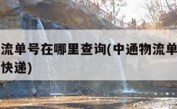 中通物流单号在哪里查询(中通物流单号在哪里查询快递)