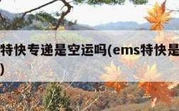 ems特快专递是空运吗(ems特快是不是空运)