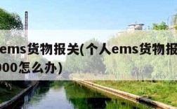 个人ems货物报关(个人ems货物报关超过1000怎么办)